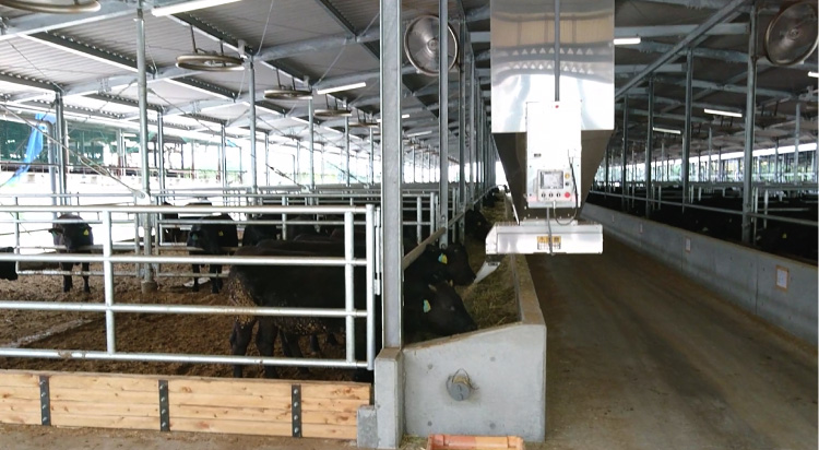 牛舎の施工事例